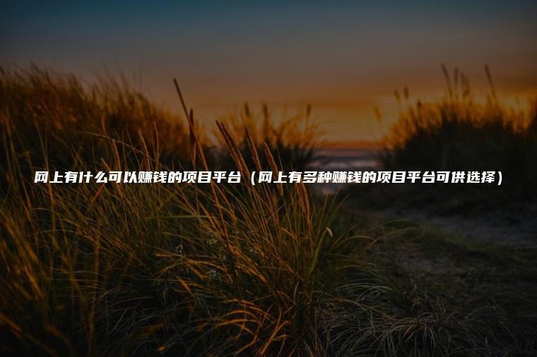 网上有什么可以赚钱的项目平台（网上有多种赚钱的项目平台可供选择）