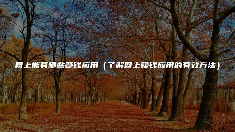 网上能有哪些赚钱应用（了解网上赚钱应用的有效方法）
