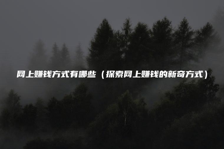 网上赚钱方式有哪些（探索网上赚钱的新奇方式）