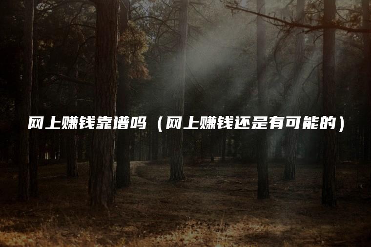 网上赚钱靠谱吗（网上赚钱还是有可能的）