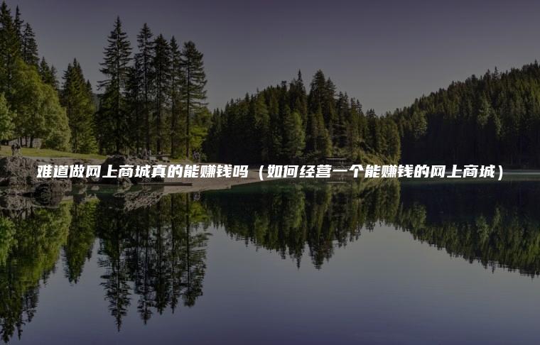 难道做网上商城真的能赚钱吗（如何经营一个能赚钱的网上商城）