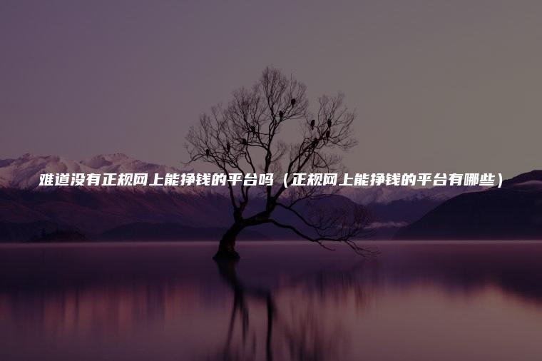 难道没有正规网上能挣钱的平台吗（正规网上能挣钱的平台有哪些）