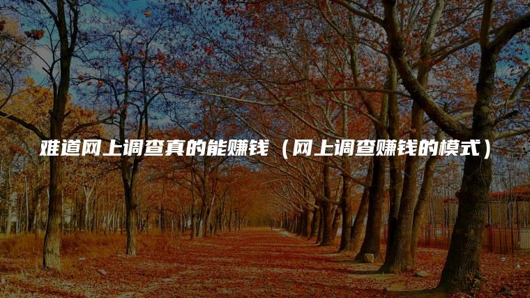 难道网上调查真的能赚钱（网上调查赚钱的模式）