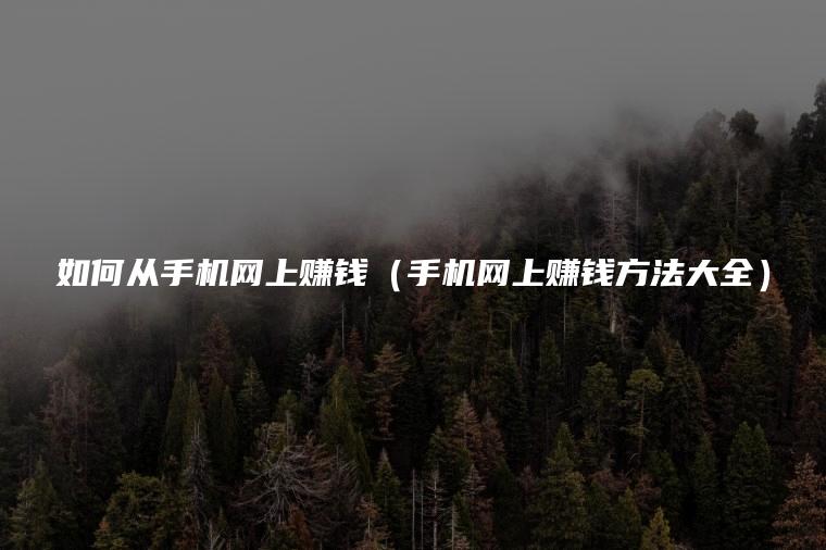 如何从手机网上赚钱（手机网上赚钱方法大全）