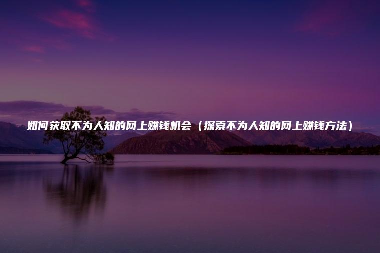 如何获取不为人知的网上赚钱机会（探索不为人知的网上赚钱方法）