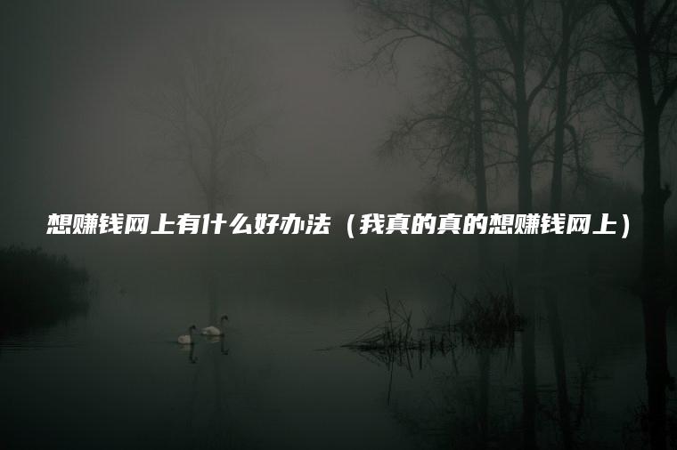 想赚钱网上有什么好办法（我真的真的想赚钱网上）