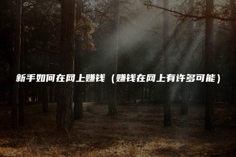 新手如何在网上赚钱（赚钱在网上有许多可能）