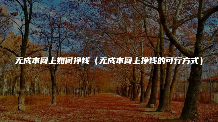 无成本网上如何挣钱（无成本网上挣钱的可行方式）