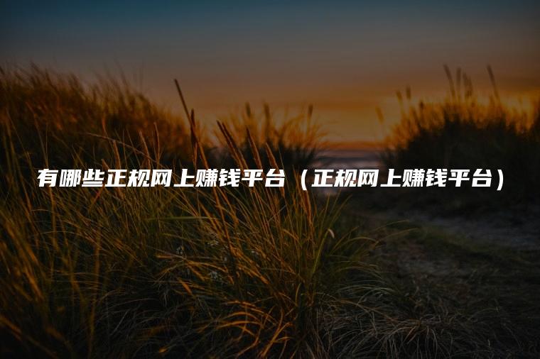 有哪些正规网上赚钱平台（正规网上赚钱平台）