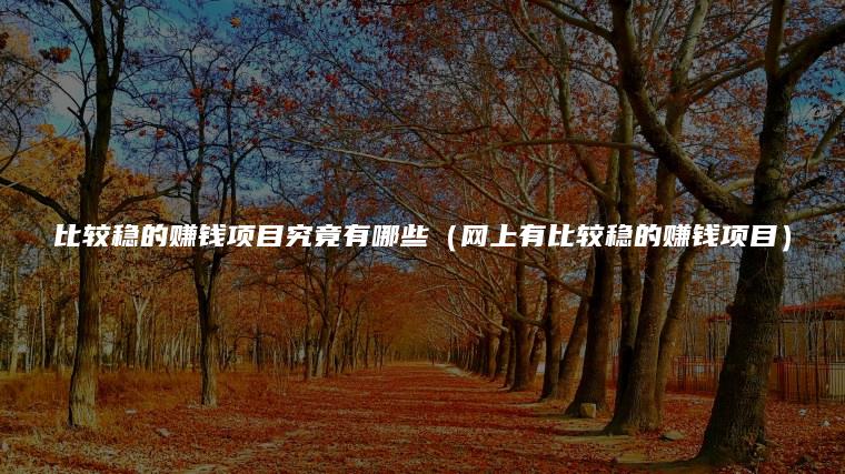 比较稳的赚钱项目究竟有哪些（网上有比较稳的赚钱项目）