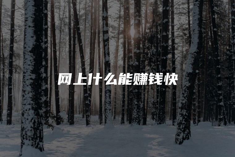 网上什么能赚钱快
