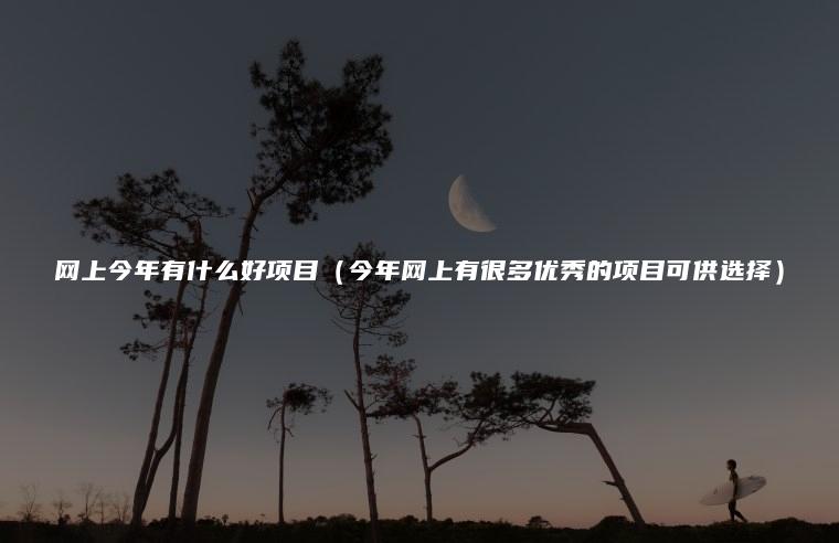 网上今年有什么好项目（今年网上有很多优秀的项目可供选择）