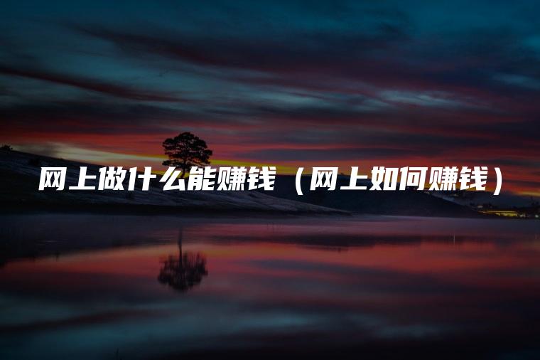 网上做什么能赚钱（网上如何赚钱）