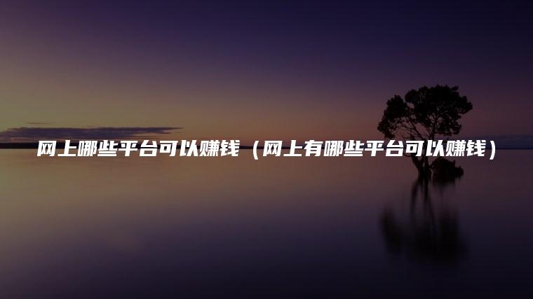 网上哪些平台可以赚钱（网上有哪些平台可以赚钱）