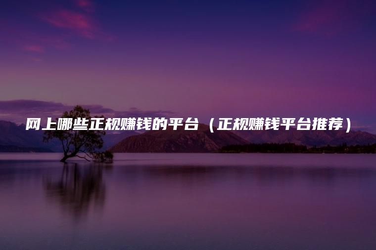 网上哪些正规赚钱的平台（正规赚钱平台推荐）