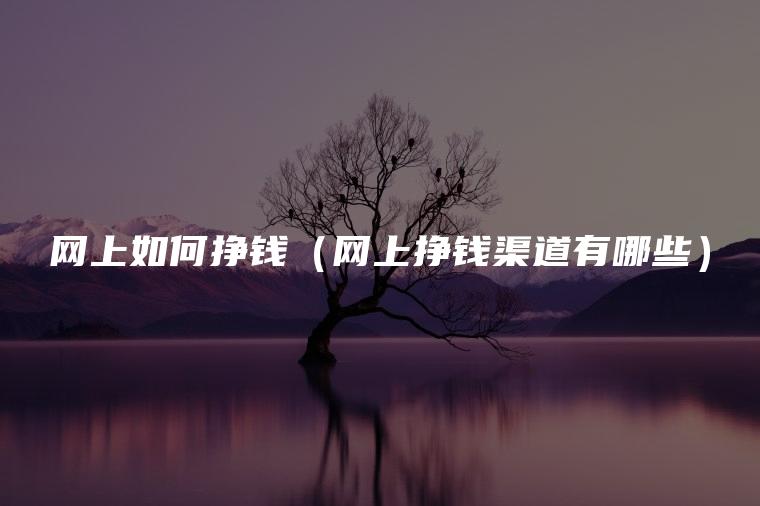 网上如何挣钱（网上挣钱渠道有哪些）