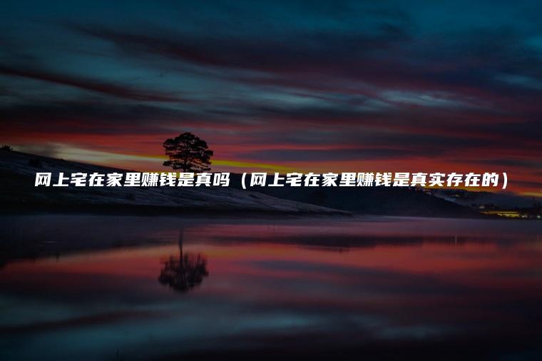 网上宅在家里赚钱是真吗（网上宅在家里赚钱是真实存在的）