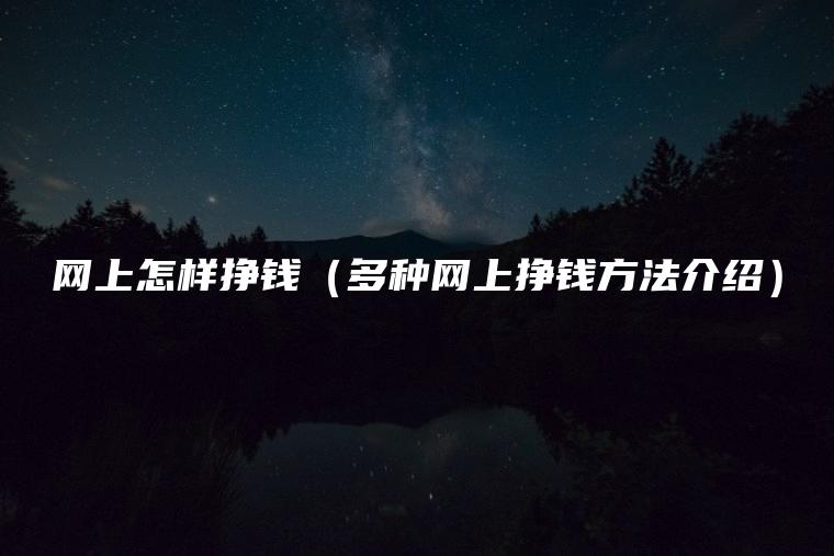 网上怎样挣钱（多种网上挣钱方法介绍）