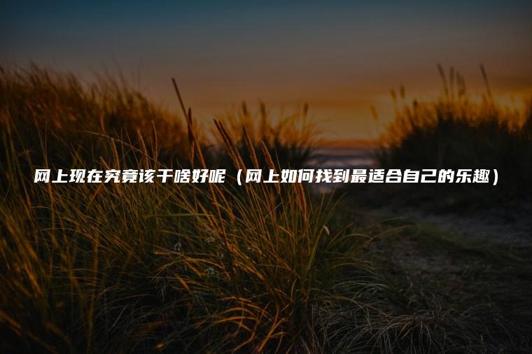 网上现在究竟该干啥好呢（网上如何找到最适合自己的乐趣）