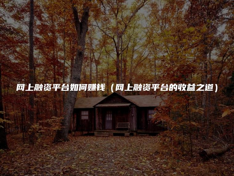 网上融资平台如何赚钱（网上融资平台的收益之道）
