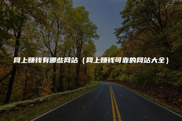 网上赚钱有哪些网站（网上赚钱可靠的网站大全）