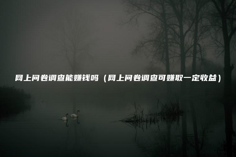 网上问卷调查能赚钱吗（网上问卷调查可赚取一定收益）