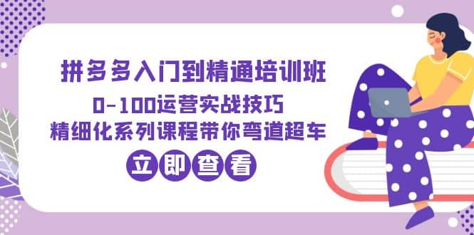 2023拼多多入门到精通培训班：0-100运营实战技巧 精细化系列课带你弯道超车