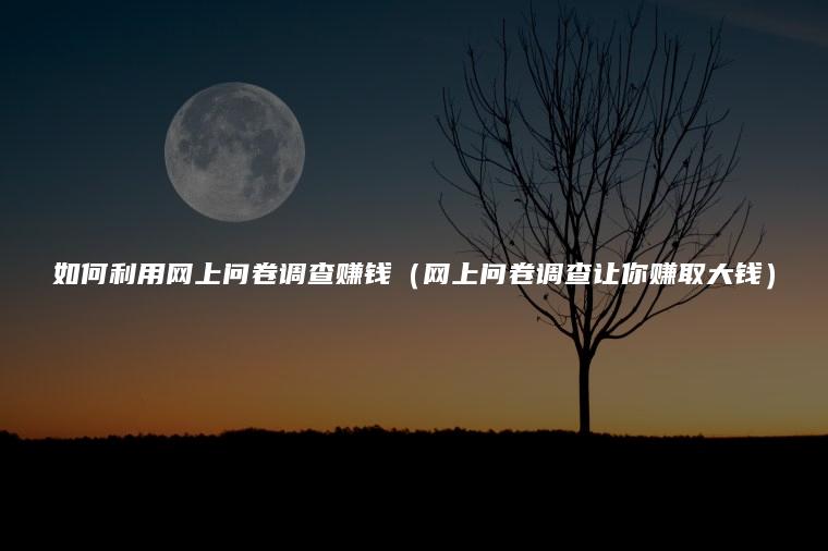如何利用网上问卷调查赚钱（网上问卷调查让你赚取大钱）