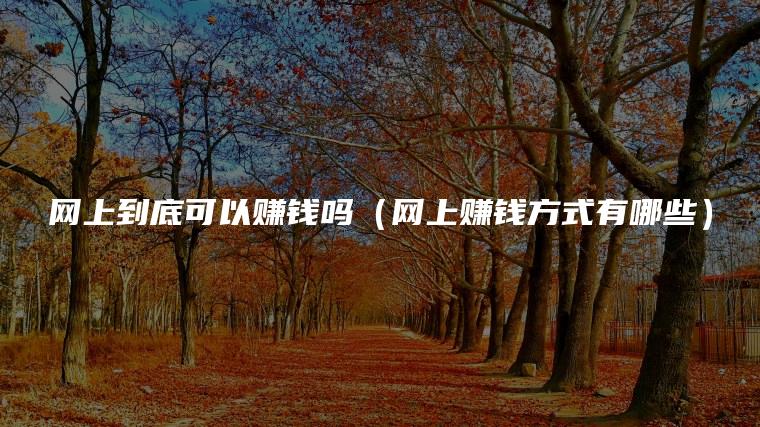网上到底可以赚钱吗（网上赚钱方式有哪些）