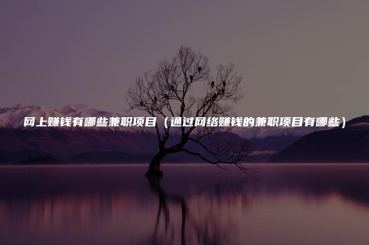 网上赚钱有哪些兼职项目（通过网络赚钱的兼职项目有哪些）