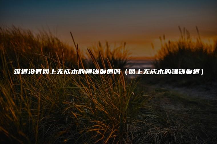 难道没有网上无成本的赚钱渠道吗（网上无成本的赚钱渠道）