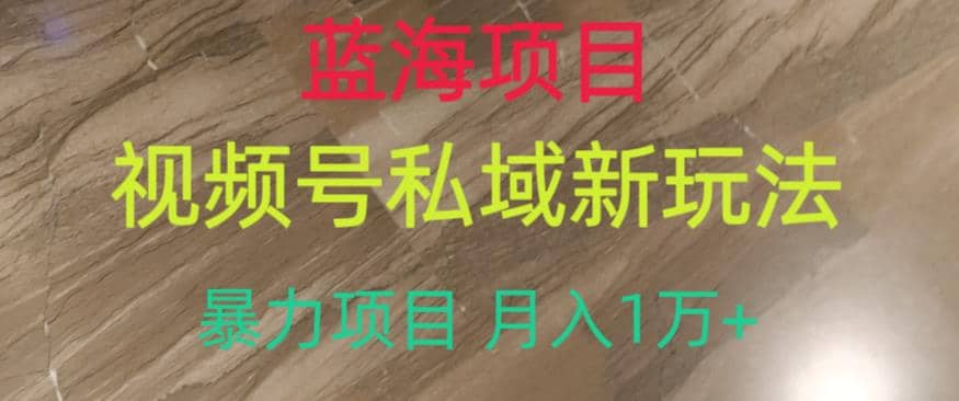 蓝海项目，视频号私域新玩法，暴力项目月入1万