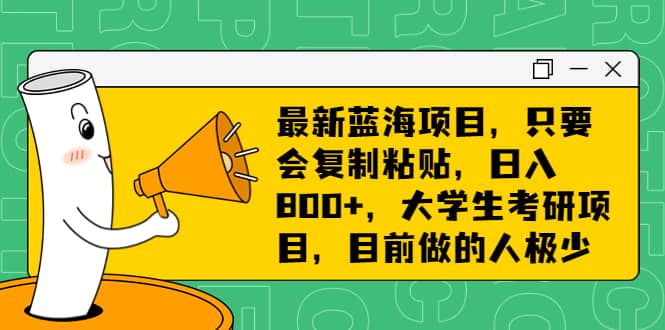 最新蓝海项目，只要会复制粘贴，日入800 ，大学生考研项目，目前做的人极少