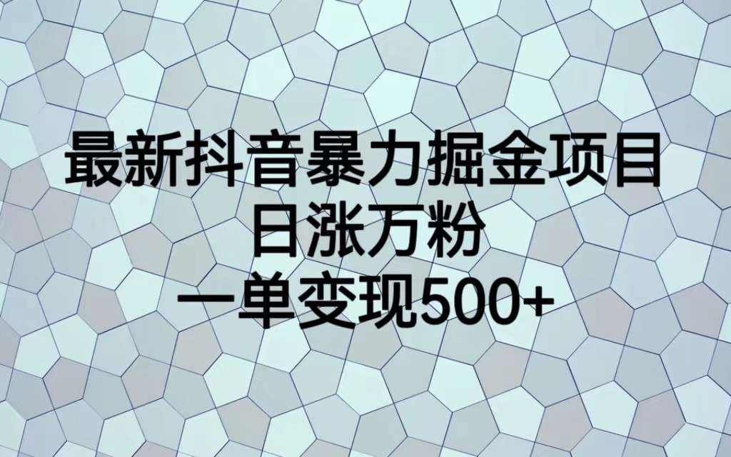 抖音掘金项目，日涨万粉，多种变现方式，一单变现可达500