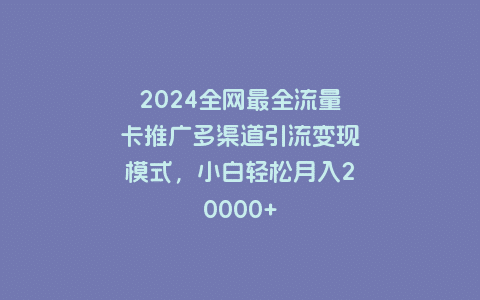 2024全网最全流量卡推广多渠道引流变现模式，小白轻松月入20000+