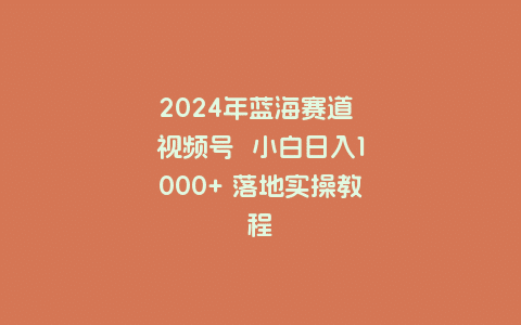 2024年蓝海赛道 视频号小白日入1000+ 落地实操教程