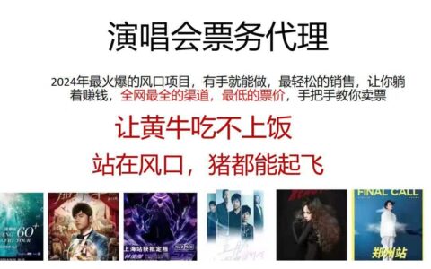 （12011期）2024演唱会低票务代理，新手可上手，手把手教你卖票，日入2000+，会玩...