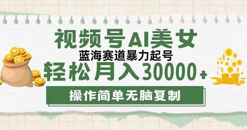 （12087期）视频号AI美女跳舞，轻松月入30000+，蓝海赛道，流量池巨大，起号猛，无...