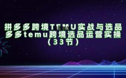（11934期）拼多多跨境TEMU实战与选品，多多temu跨境选品运营实操（33节）