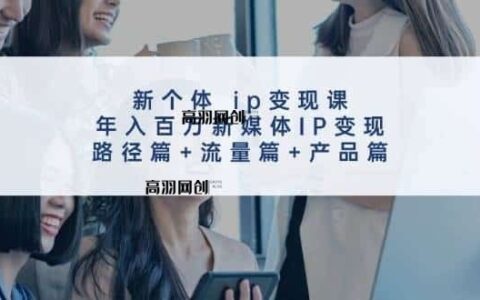 （11971期）新个体 ip变现课，年入百万新媒体IP变现，路径篇+流量篇+产品篇