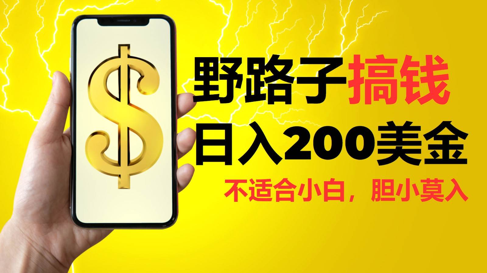 挂G野路子搞钱，日入200美金，路子很野，小白莫入