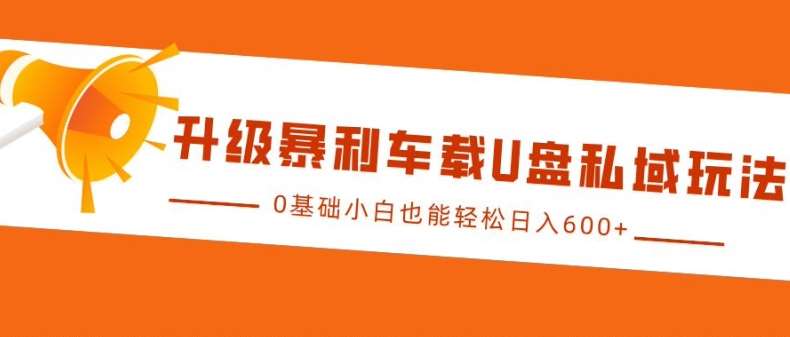 升级暴莉车载U盘私域玩法，0基础小白也能轻松日入多张【揭秘】