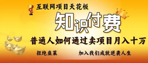 互联网项目天花板，知付付费项目，普通人如何通过卖项目月入十个，拒绝韭菜【揭秘】