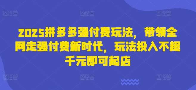 2025拼多多强付费玩法，带领全网走强付费新时代，玩法投入不超千元即可起店