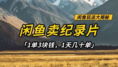闲鱼卖纪录片1单3块钱，1天几十单，项目稳定有潜力