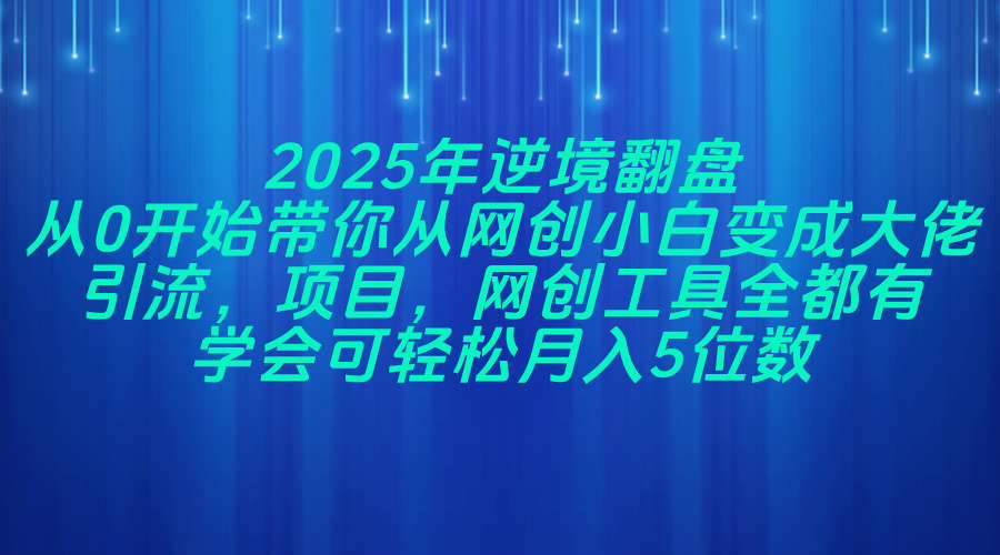 （14473期）2025年逆境翻盘，从0开始带你从网创小白变成大佬，引流，项目，网创工...