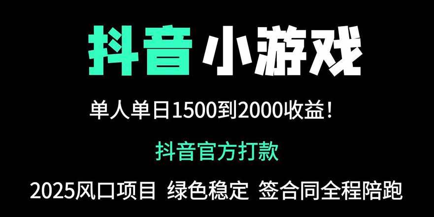 （14527期）抖音官方小游戏2025全网最新玩法，暴利赚钱项目，单机日入2000+，绝不...