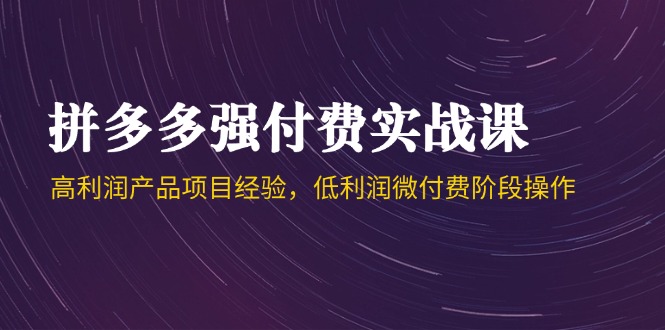 （14874期）拼多多强付费实战课-44期，高利润产品项目经验，低利润微付费阶段操作