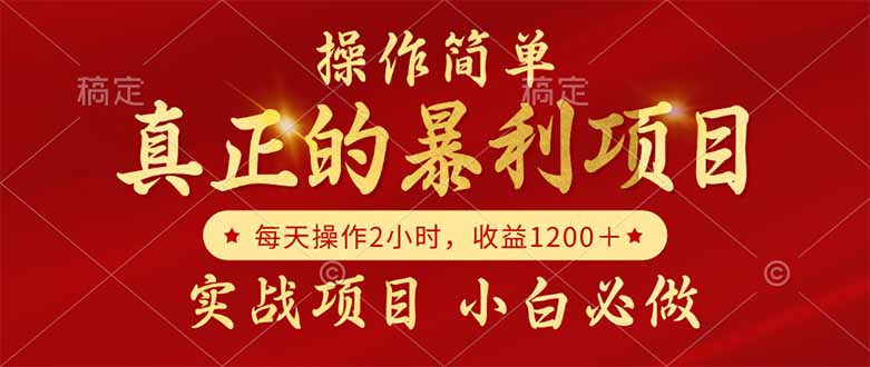 真正的暴L项目，操作简单，每天收益1200＋，自己做老板