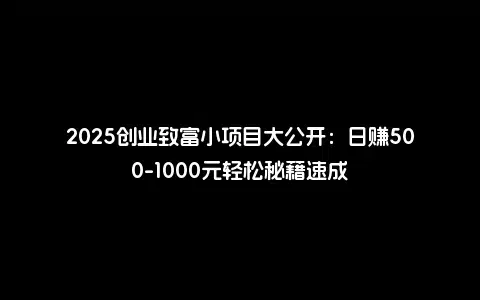 2025创业致富小项目大公开：日赚500-1000元轻松秘籍速成